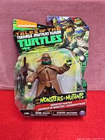 Front of sealed package showing figure and branding