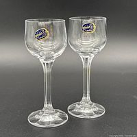 Front view of both Bohemia Crystal glasses showing stickers and overall form