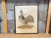 Front view of framed grouse illustration
