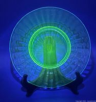 Plate under UV light showing fluorescence