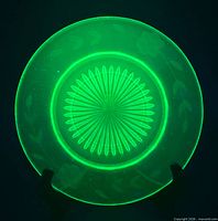 Plate under UV light showing green glow