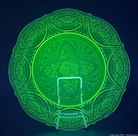 Plate under UV light showing bright green fluorescence