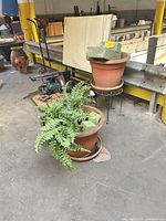 Overall view of planters, fern, foam, stands