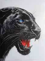 Close view of entire panther portrait showing composition
