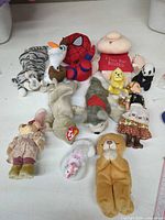 Group shot of all plush toys and dolls laid out on table