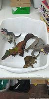 Overview of four dinosaur toys in plastic tub
