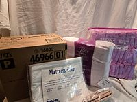 Overall lot view showing Poise pad cases and packs, mattress cover package, gait belt