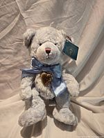 Full view of teddy bear showing baby blue color, bow, locket and hangtag