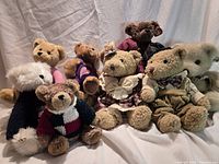 Group of eight dressed teddy bears in front of white backdrop, no chairs visible