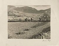 Frontal view of photograph showing horse, landscape and handwritten title