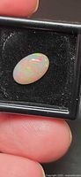 Oval cabochon opal in display case showing multicolor play-of-color