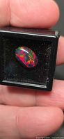 Front view of oval black opal showing multicolor play-of-color