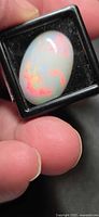 Opal showing red, orange, blue flashes in display box