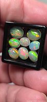 Nine opals in black gem box showing vivid play of color