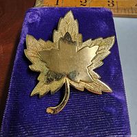 Front view of gold-tone maple leaf brooch on velvet pad