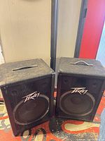 Front view of both Peavey 115DL speakers