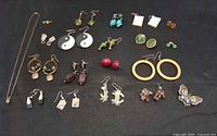 All jewellery items laid out showing 17 earring pairs, necklace and butterfly brooch