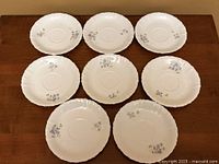 All eight matching porcelain plates arranged on surface