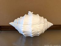 Side view of ceramic conch shell tureen with lid