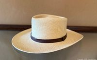 Side profile of straw Panama hat with brown leather band