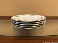 Side view of stacked plates showing thickness and rim detail