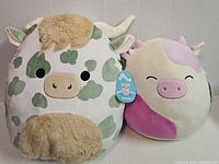 Front view of both Squishmallows plush toys