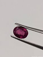 Oval faceted ruby held by tweezers, front view