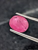 Close-up of oval pinkish-red ruby held by tweezers, showing overall shape, color and inclusions