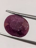 Front view of loose oval ruby held by tweezers