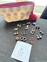 All earrings and cosmetic bag overview