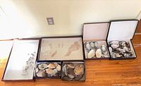 Six display trays showing assorted oyster shells, small shells, and two open wooden boxes