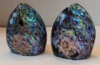 Front view of both abalone shell shakers showing iridescent exterior