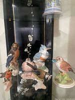 Group shot of all porcelain bird figurines in display case