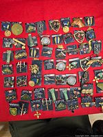 Full lot spread showing quantity and variety on red cloth