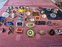 Full assortment of 44 lapel pins displayed on cloth