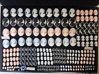 Full tray showing all cameo rows and colour groups