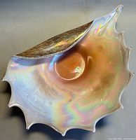Top angle of iridescent glass conch shell showing interior colors and spiked rim
