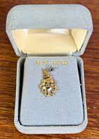 Charm in box showing overall appearance