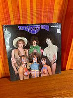 Front cover of Velvett Fogg LP in shrinkwrap