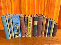 Front view of all 14 books standing upright showing spine colors and titles