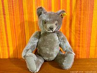 Full frontal view of Steiff mohair teddy bear seated