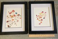 Both framed bird prints side by side with ruler for scale