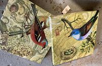 Both 12x12in bird canvases front view