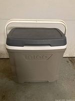 Front view of gray Igloo cooler with handle up