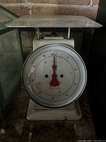 Front view of metal kitchen scale showing dial
