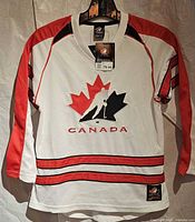 Front view of jersey on hanger showing overall design and condition