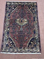 Full view of Hamedan rug showing pattern and fringe