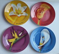 Set of four floral porcelain plates displayed front view