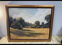 Front view of framed Michael Goodwin landscape painting
