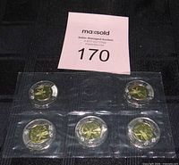 Front view of five sealed $2 coins in blister strip